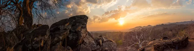 Wildlife Action Group in Malawi Header