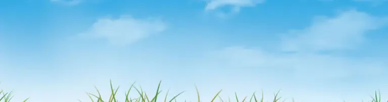 Huckepack Header