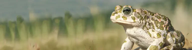 Zeit für Neues! Header