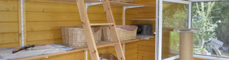 Dringend notwendige Fußboden-Renovierung unserer Gartenhütte für unsere scheuen Katzen Header