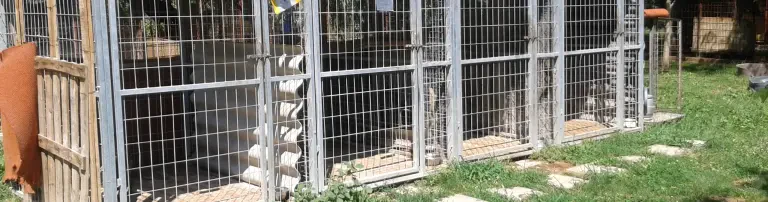 Zaun für ersten 5 Zwingerausläufe im Tierheim Pacsi Header