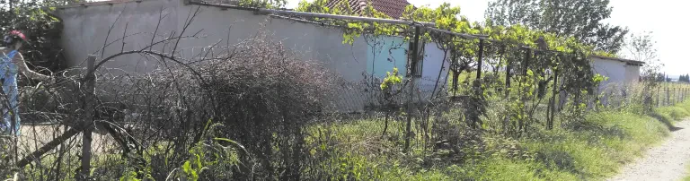 5000 Ytong Steine für unsere neue Notstation in Xanthi /Griechenland Header