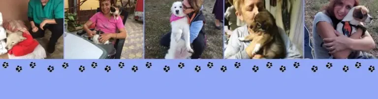 Zaunbau Privates Shelter. Wir müssen unser Gelände sicher einzäunen, damit die Hunde nicht entweichen! Header