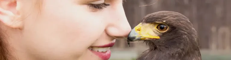 Aufzuchtfutter für Eulen und Greifvögel Header
