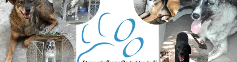 Zukunft schenken Header