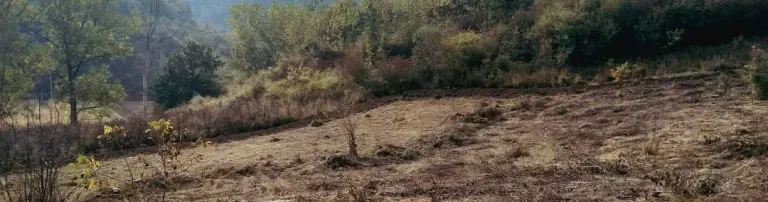 Tierheimneubau Deva - Gehege/Dächer Header