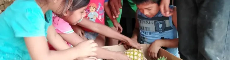 Coronapandemie | Hilfspakete für indigene Familien in Panama Header