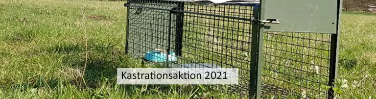 Kastrationsaktion 2021 Header