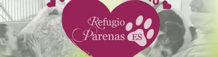 Gemeinsam fürs Refugio Header