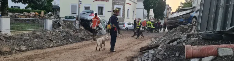 Einsatzausrüstung Rettungshunde Header